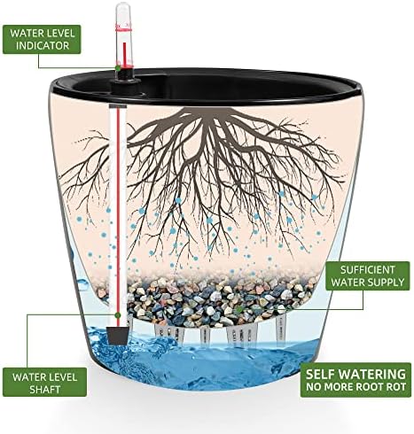 Dexceder 9x8 Self Watering Planter (Black High Gloss) - Image 2