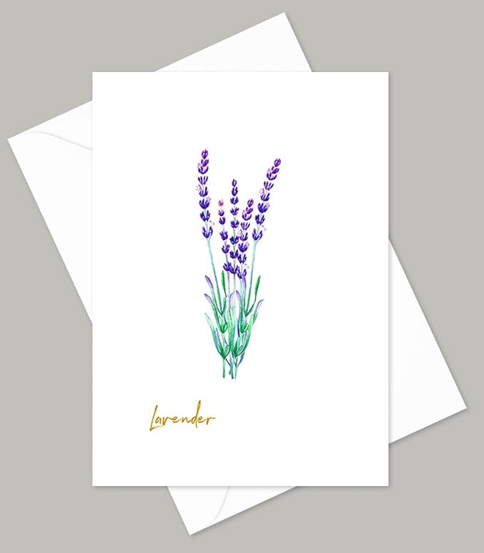 Vintage Herb Greeting Cards, 5x7 Inches, Set of 10 with Decorative Stickers, Blank Inside.