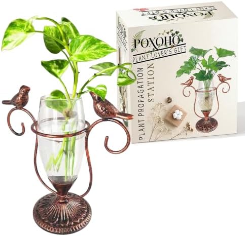 Desktop Plant Propagation Station, Plant Terrarium with Metal Stand - Image 7