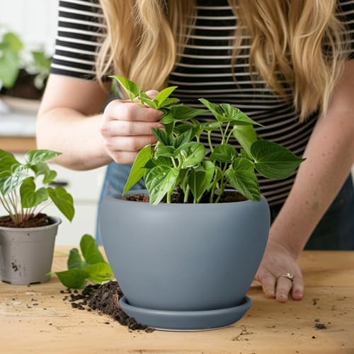 Ceramicfor Ceramic Pot for Plants - 6 Inch Plant Pot Indoor with Drainage Hole and Saucer Decorative Planter for Outdoor Plants Modern Succulent Pots Round Flower Pots Gray - Image 5