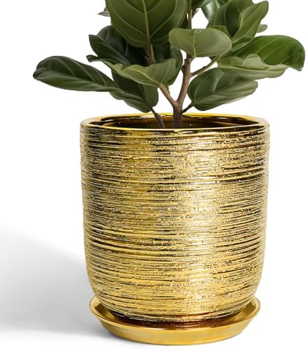 Ceramic Flower Pot for Indoor Plants - 10 Inch Plant Pot with Drainage Hole and Saucer, Decorative Round Outdoor Indoor Planter, Housewarming Gifts, Home Garden Decor, Gold by SUNPOTFOR
