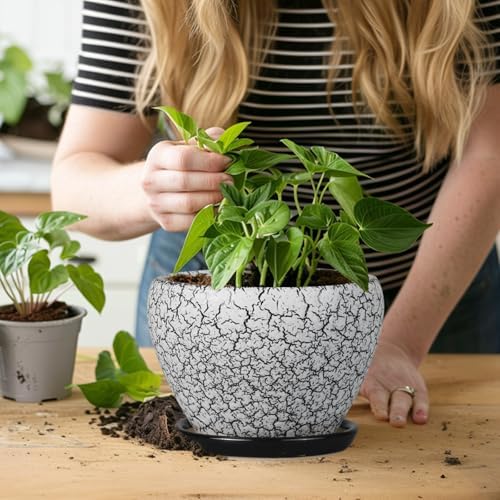 Ceramicfor Ceramic Planter Pot - 6 Inch Plant Pot with Drainage Hole and Saucer, Succulent Pot Glaze Round for Indoor Outdoor Plants, White and Black - Image 6