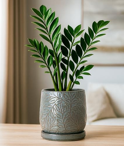 D'vine Dev Embossed Leaves Ceramic Planter, 6 in, Graphite Blue, 27-A-X-9 - Image 2