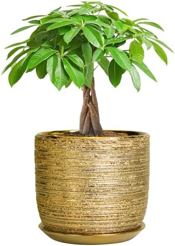 Ceramic Plant Pot 7 Inch - Ceramic Planter for Indoor Outdoor Plants, Round Modern Flower Pot with Drainage Hole and Saucer, Housewarming Gifts, House Patio Office Home Decor, Gold by SUNPOTFOR