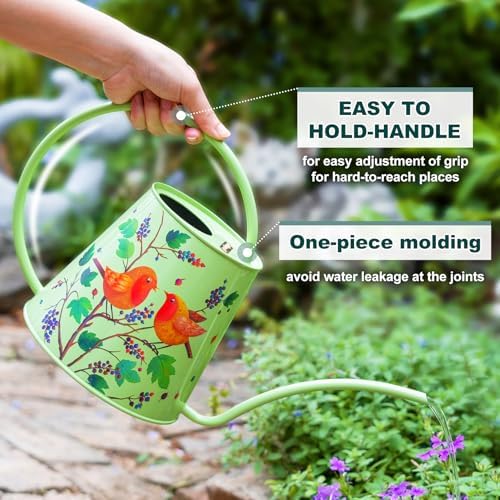 2L Long Spout Watering Can, Stainless Steel Water Can (Robin) - Image 5