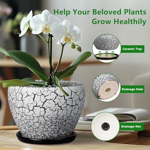 Ceramicfor Ceramic Planter Pot - 6 Inch Plant Pot with Drainage Hole and Saucer, Succulent Pot Glaze Round for Indoor Outdoor Plants, White and Black - Image 5