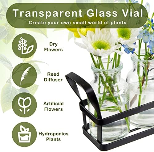 Propagation Stations Indoor Decor Planters Terrarium with Stand,Propogation Planter Glass with 5 Air Plant Terrarium for House Plants Hydroponic Home Garden Office Decoration - Image 2