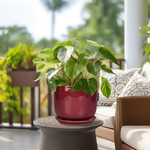 Ceramic Flower Pot for Plants - Cylinder Modern 8 Inch Plant Pot Indoor with Drainage Hole and Saucer, Home Office Room Porch Decor, Red - Image 4