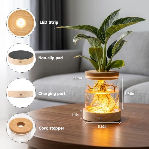 Plant Propagation Station with Wooden Saucer, Glass Terrarium with Dimmable Function Hydroponic Container Vase Jars Gardening Gifts for Mom Women Plant Lovers(4 Pack) - Image 2