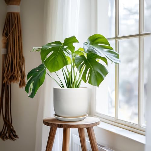 Ceramic Pot for Plants 7 Inch - Modern Round Indoor Outdoor Planter with Drainage Hole and Saucer, Home House Office Room Decor, White - Image 6