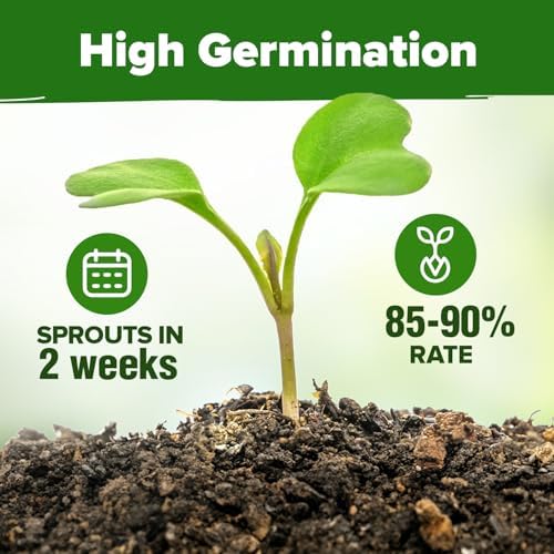 HOME GROWN 32 Medicinal Herb & Tea Variety Seeds Garden Kit - Image 5