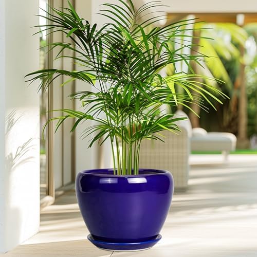 Ceramicfor Ceramic Plant Pot 8 Inch, Planter for Indoor Plants, Royal Blue - Image 5