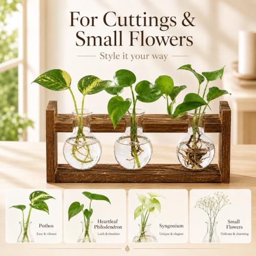Glass Plant Propagation Station, 3 Glass Bulb Vases - Image 2