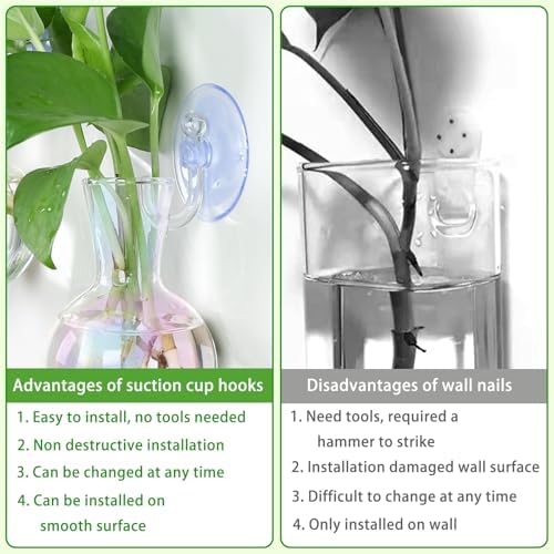 Bunmery 4 pcs Iridescent Window Propagation Stations, Easy to Install Plant Propagation Bulbs with Suckion Cups, No Nails Wall Hanging Planter Propagation Station, Glass Plant Terrarium Vase - Image 4