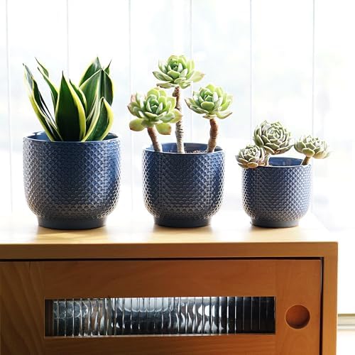 4 + 5 + 6 Inch Ceramic Pots for Indoor Plants, Succulents Plant Pots, Orchid Flower Pot with Drainage Hole, Modern Clay Stoneware Planters, Set of 3 (Dusty Blue, 4+5+6 Inch) - Image 6
