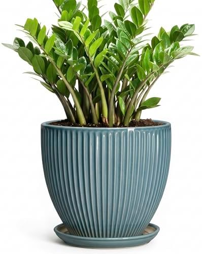 10 Inch Plant Pot, Ceramic Flower Pots with Drainage Hole and Saucer, Round Modern Planters for Indoor Plants, Decorative Plant Pots, Home Patio Decor, Plant Lover Gifts, Glaze Blue by Unknown
