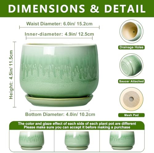 6 Inch Planter, Ceramic Plant Pots for Indoor Plants, Green - Image 2