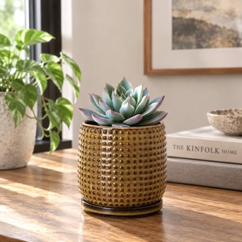 D'vine Dev Beaded Ceramic Pot with Saucer, 4 in, Olive Bronze, 27-C-Z-N - Image 2