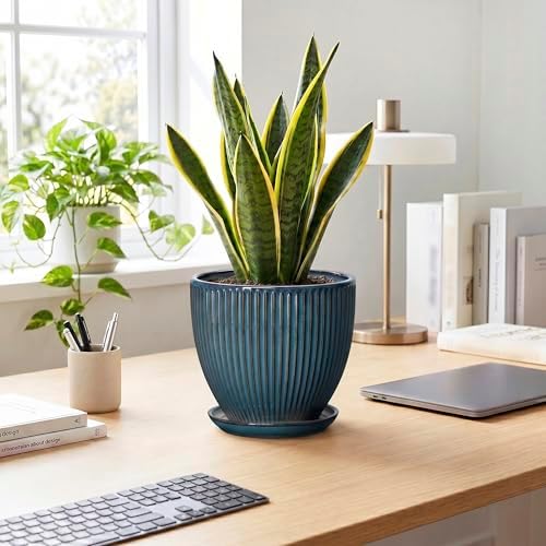 Ceramic Plant Pots, 8 Inch Planters for Indoor Plants, Decorative Flower Pots with Drainage Hole and Saucer, Round Planter, Indoor Flower Pot, Modern Home Decor, Plant Lover Gifts, Retro Blue - Image 3