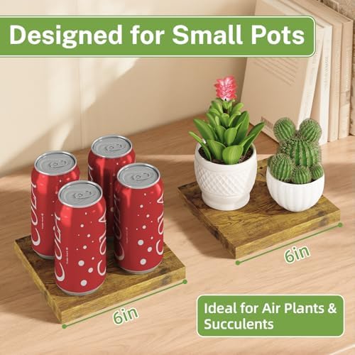 iDavosic.ly Table Top Small Plant Stand, Succulent Holder for Desk, Brown - Image 2
