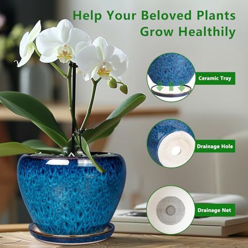 Ceramic Modern Glaze Succulent Planter Pot with Drainage Hole and Saucer 6 Inch Round Flower Plant Pot for Indoor Outdoor Herb Snake Plants - Image 4