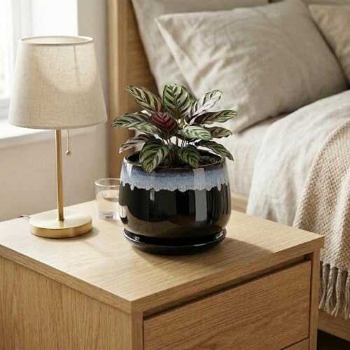 6 Inch Plant Pot - Ceramic Planters for Indoor Plants, Decorative Planter with Drainage Hole and Saucer, Round Flower Pots, Office Patio Decor, Gifts for Gardeners Woman, Black-Blue - Image 6