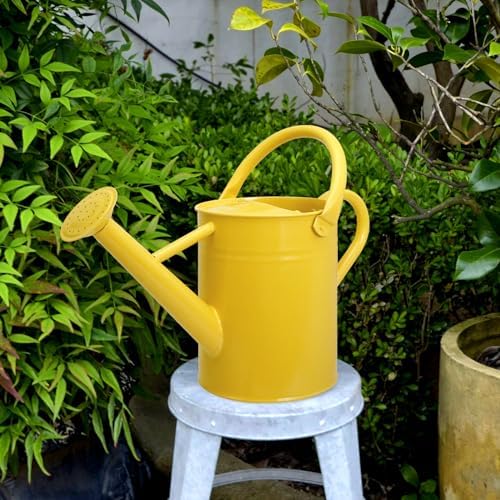 Metal Watering Can with Removable Spout, Galvanized, Perfect for Indoor and Outdoor Use (1 Gallon, Yellow) - Image 4