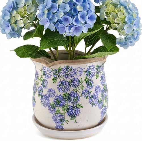 Ceramic-Planters-for-Indoor-Plants with Saucer, 6 inch Vintage Ice Crackle Glaze Plant Pots with Drainage Holes, Decorative Flower Pots for Outdoor Garden Home Decor, Tuscan Pot for Plant by Xoogifae