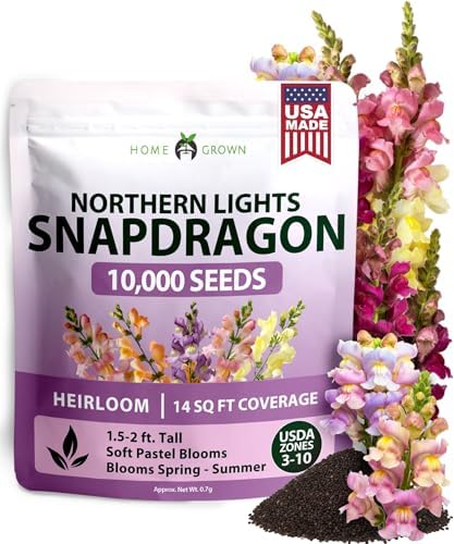 HOME GROWN Northern Lights Snapdragon 10,000 Flower Seeds Antirrhinum majus by HOMEGROWN