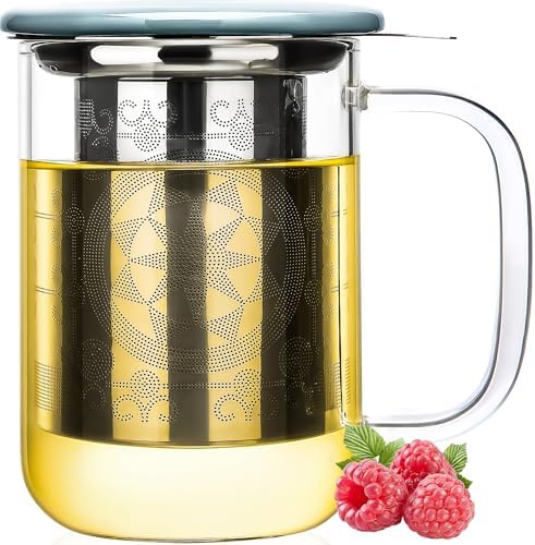 Aquach 18oz Glass Tea Cup with Infuser and Lid, Clear Borosilicate Mug by Aquach