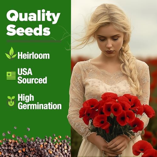 HOME GROWN American Legion Red Poppy Seeds, 6,000 Seeds, Papaver rhoeas - Image 2