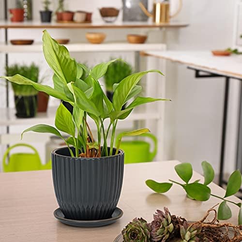 D'vine Dev 2-Pack Stoneware Planter Pots, 4.5/5.8 in, Charcoal Grey, 99-D-3 - Image 2