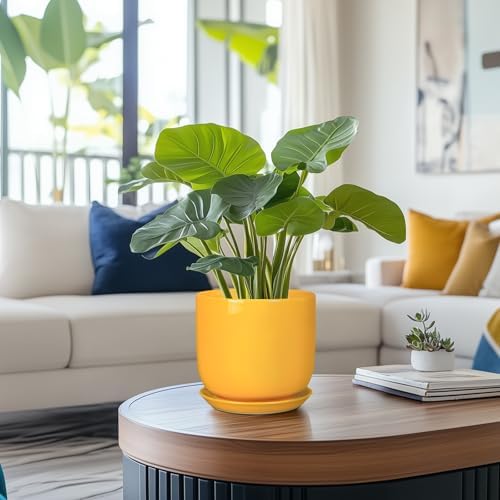 Indoor Plant Pot - 7 Inch Modern Round Ceramic Planter for Indoor Outdoor Plants with Drainage Hole and Saucer, Home Garden Office House Decor, Yellow - Image 2