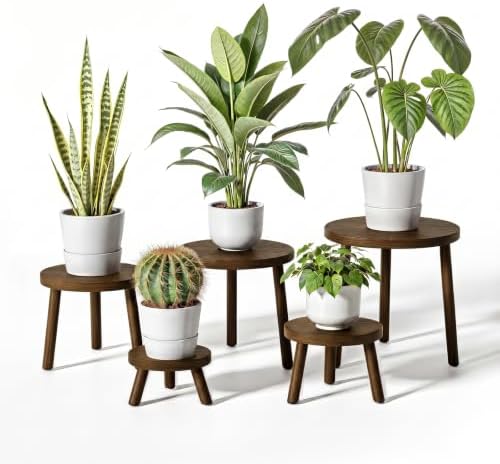 Delma Wood Plant Stands 5-Pack Indoor, Plant Stool, Dark Brown by Delma