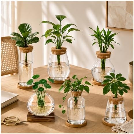 6 Pcs Plant Propagation Station Set, Glass Propagation Vases for Plants with Wooden Lids & Bamboo Stands, Hydroponic Vase Jars for Plant Cuttings, Terrarium Planters for Desk, Home Office Decor by DIYStressballmakingkit