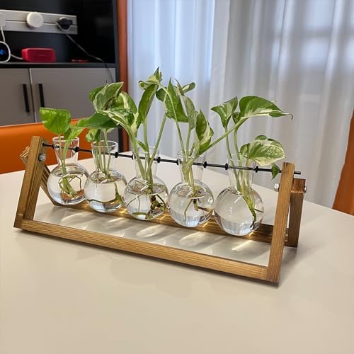 Kingbuy Plant Propagation Station with 5 Bulb Vases Retro Wooden Stand Desktop Glass Planter Terrarium for Hydroponics Plants Home Office Décor - Image 2