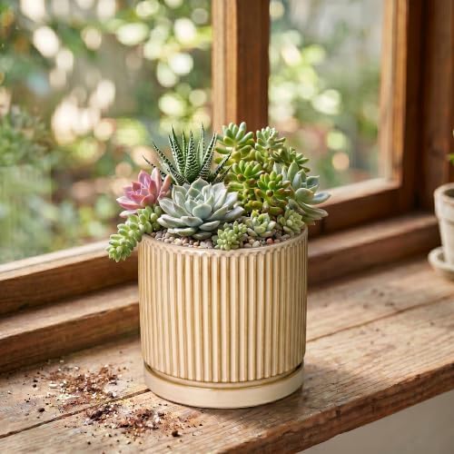 Ceramic Plant Pot, 4 Inch Pots for Plants with Saucer, Beige - Image 3