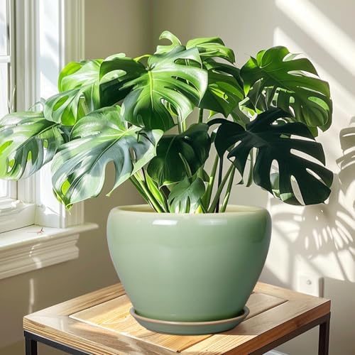 Ceramicfor Ceramic Planter Pot, 10 Inch Plant Pot, Reactive Green - Image 6