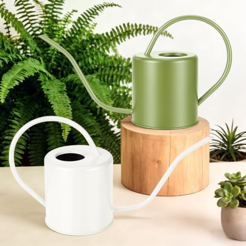 Plant Watering Can, 50 oz / 1500 ml Stainless Steel Metal - Modern Decorative with Long Spout for Indoor Potted Plants, Bonsai, Garden Flowers, Saga Green - Image 2