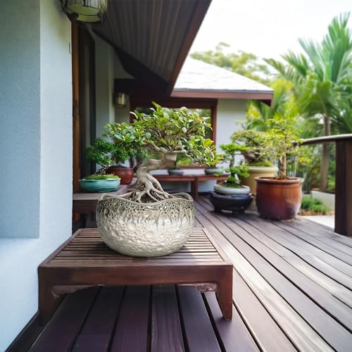 10 Inch Plant Pot, Ceramic Pots for Plants, Beige-Grey - Image 3