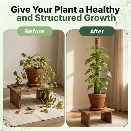 2 Pack 16" Moss Pole Monstera Plant Support - Stackable up to 26.5" - Image 6