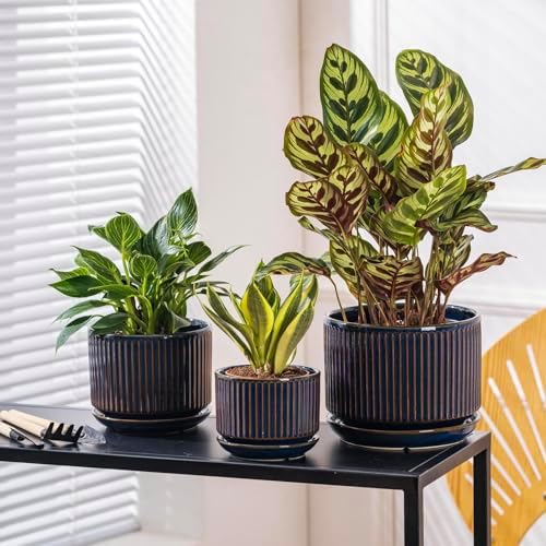 SURE YUESI Ceramic Plant Pots Set of 3, Indoor Outdoor Planters with Drainage Hole and Saucer, Ceramic Flower Pots for Indoor Plants, 4.3+5.5+6.8 Inch, Home, Garden, Patio and Office, Glossy Blue - Image 4