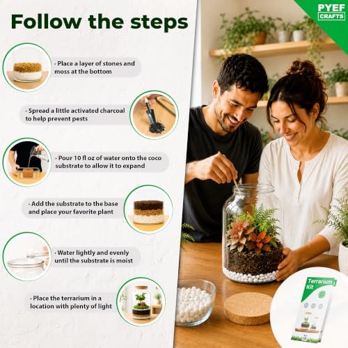 Terrarium Kit for Plants DIY (1 Gallon) - Image 3