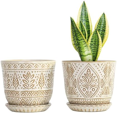Gepege Ceramic Plant Pots, 6 Inch Indoor Planters with Drainage & Saucers by Gepege
