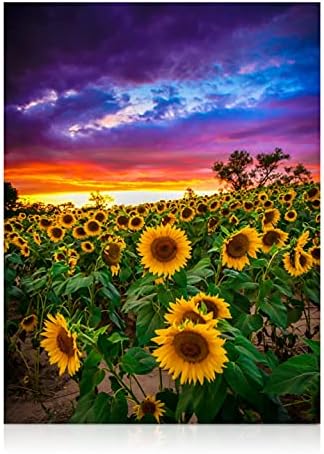 Sunflower Diamond Art Kits for Adults Sunset Landscape 5D Round Drill 12x16 by ModernMerch