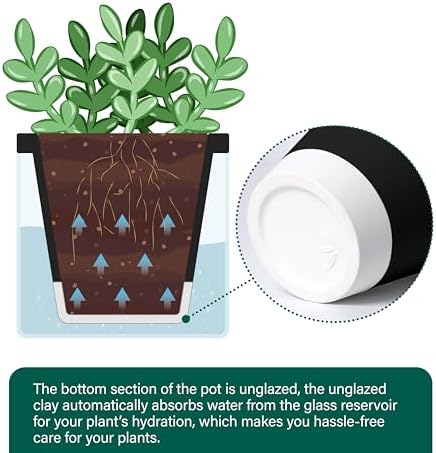 D'vine Dev Self-Watering Black Terracotta Planter, 4 in, 3-Pack, 37-Z-A-3-T - Image 6