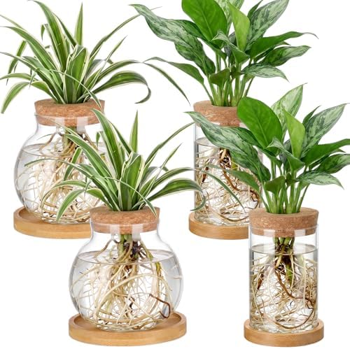 Layhit 4 Pcs Plants Propagation Stations vases Glass Planters with Wooden Lid and Bamboo Stand for Hydroponic Plants Gardening Gifts for Women Mom Home Office Tabletop Decoration(Funny Style) by ShungLan