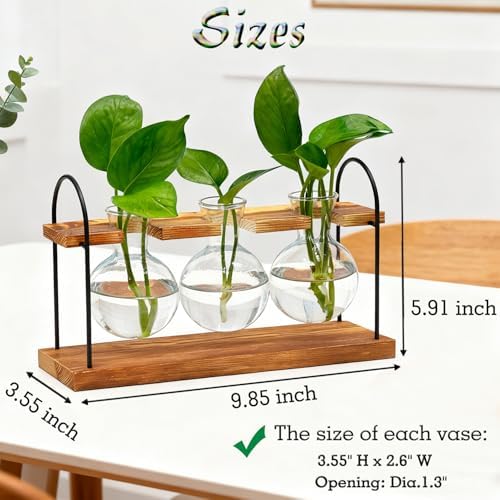 Plant Terrarium with Wooden Stand, Birthday Gift for Women Mom Plant Lover - Image 5