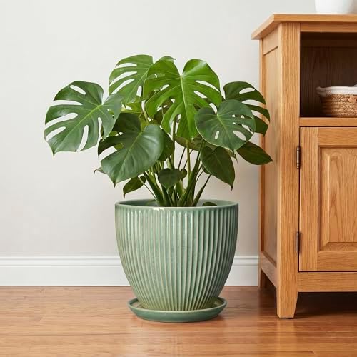 Ceramic Flower Pots, 10 Inch Plant Pot for Indoor Plants, Modern Round Planters with Drainage Hole and Saucer, Decorative Pots for Plants Indoor, Garden Home Decor, Plant Lover Gifts, Green - Image 6