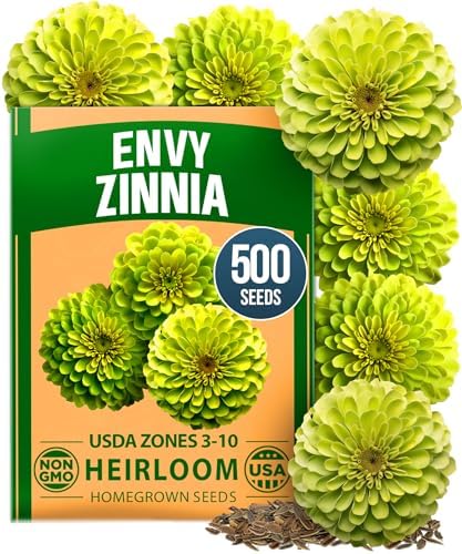 HOME GROWN Zinnia Seeds, Envy, 500 Seeds, Zinnia elegans by HOMEGROWN